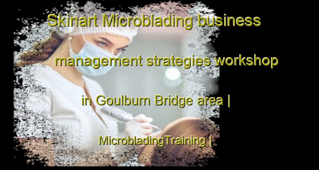Skinart Microblading business management strategies workshop in Goulburn Bridge area | MicrobladingTraining | MicrobladingClasses | SkinartTraining-Ireland